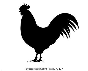 Rooster Silhouette