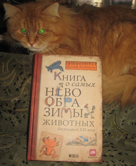 Большая и полезная – «Книга о самых невообразимых животных: Бестиарий ...