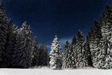 images nature forest mountain snow winter sky weather fir