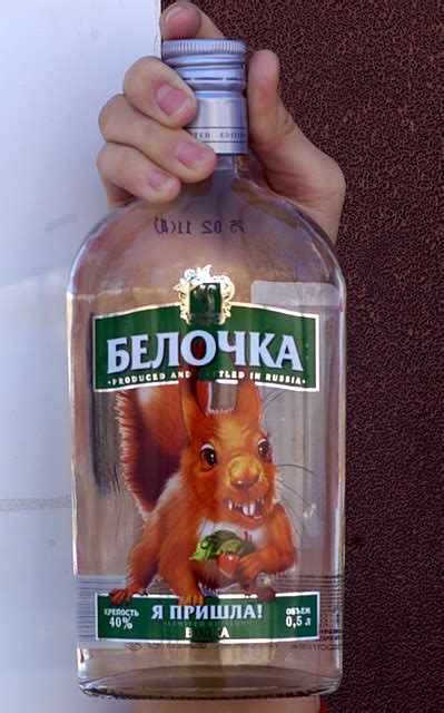 ФотоТелеграф » Водка “Белочка”. Я пришла!
