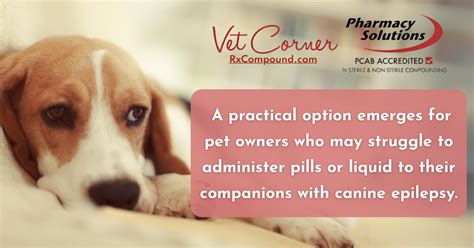 Tailored Approach to Managing Canine Epilepsy - Pharmacy Solutions