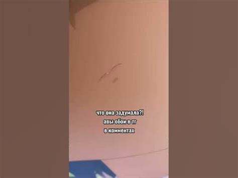Момент из аниме моя новая горничная подозрительная. #shorts #anime # ...