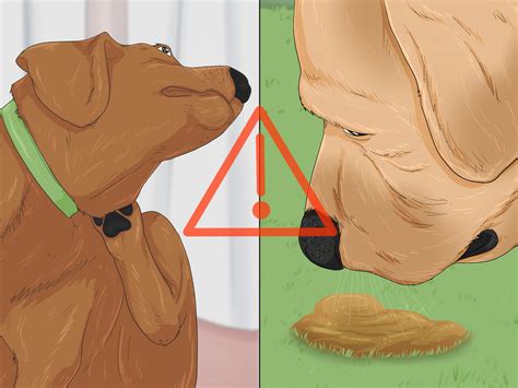 How to Make Your Dog Stop Sleeping in Your Bed: 15 Steps