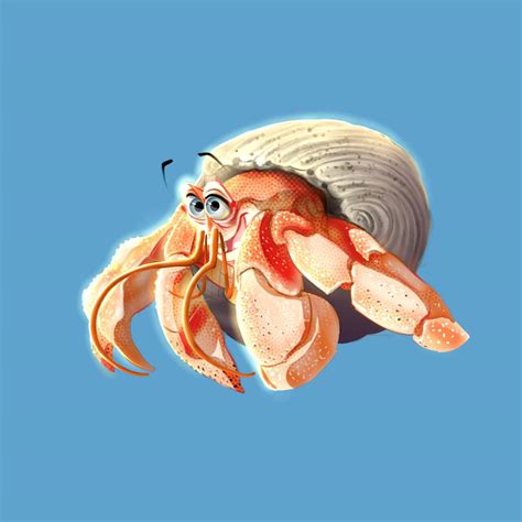Hermit Crab Wallpapers - Wallpaper Cave