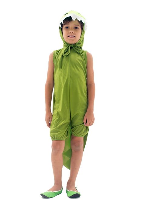 Fantasia De Jacare Infantil - Fantasia Infantil de Jacaré - 2 Anos | Elo7 Produtos Especiais
