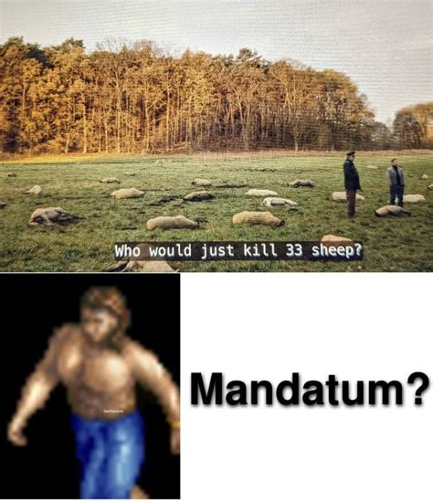 Age of Empires Memes