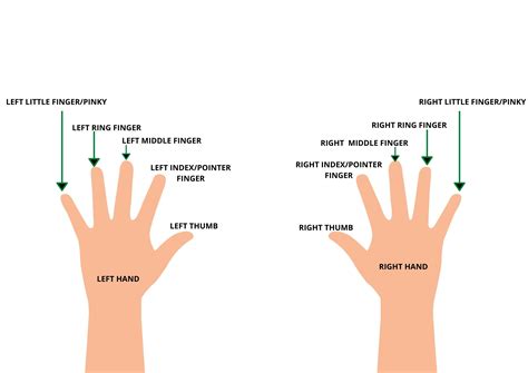 Rings and Fingers – Unmasking the Symbolism | Wedding KnowHow
