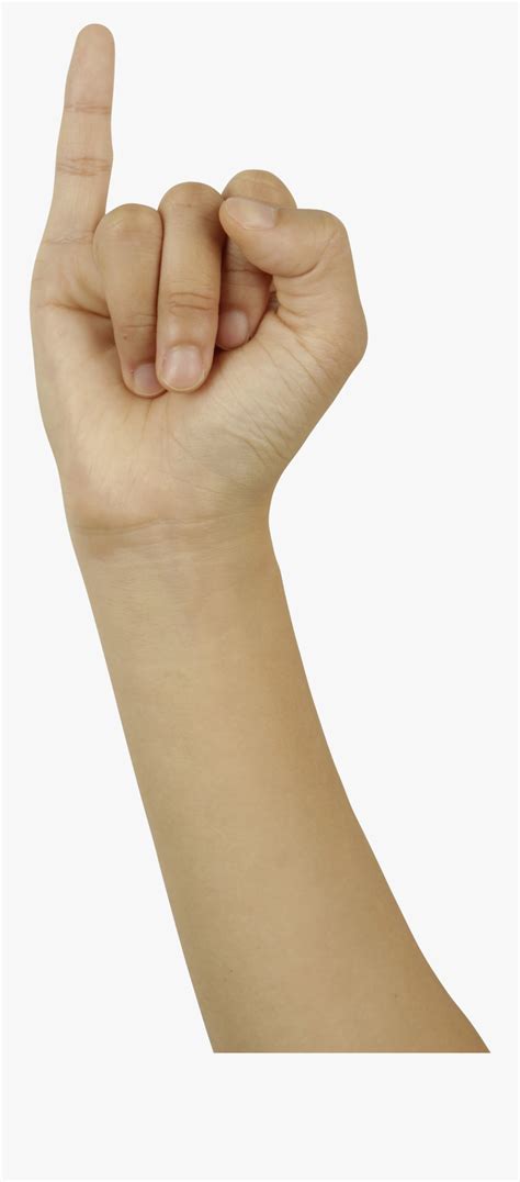 showing  finger png  finger png  transparent