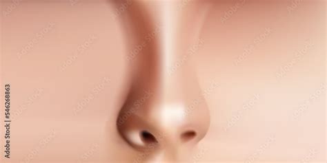 Human nose realistic front view Vector Illustration. Stock Vector ...