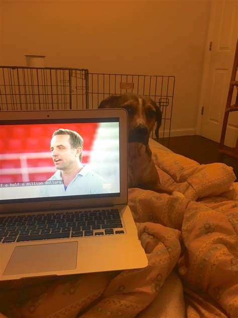 dog judging me watch the challenge pt. 2 : r/MtvChallenge