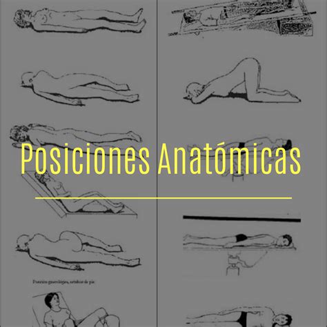 POSICIONES ANATÓMICAS BÁSICAS
