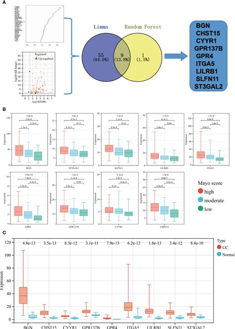 Frontiers | Unveiling the key genes, environmental toxins, and drug