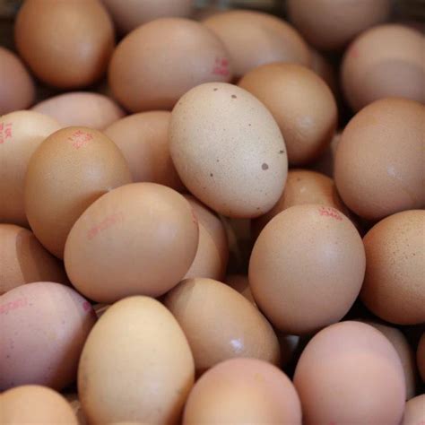 large eggs  dozen plumgarths farm shop