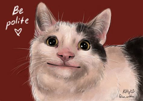 Polite cat meme by SadChaoticKitty on DeviantArt