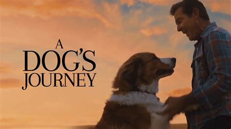 Watch Movie A Dog's Journey Only on Watcho