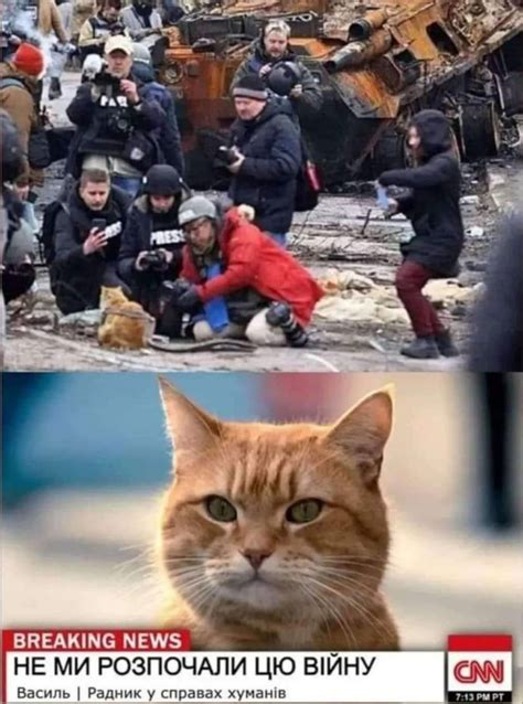 «Рудий кіт проти рудого танка»: історія однієї фотографії з Бучі ...