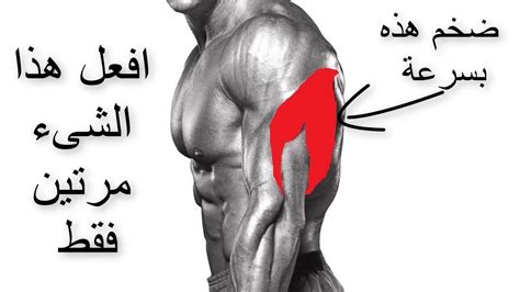 اقوى تمارين الترايسبس للتضخيم || افضل طريقة لتضخيم عضلة التراى ...