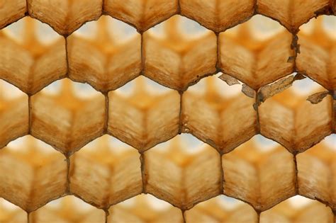 Geometric Shapes In Nature