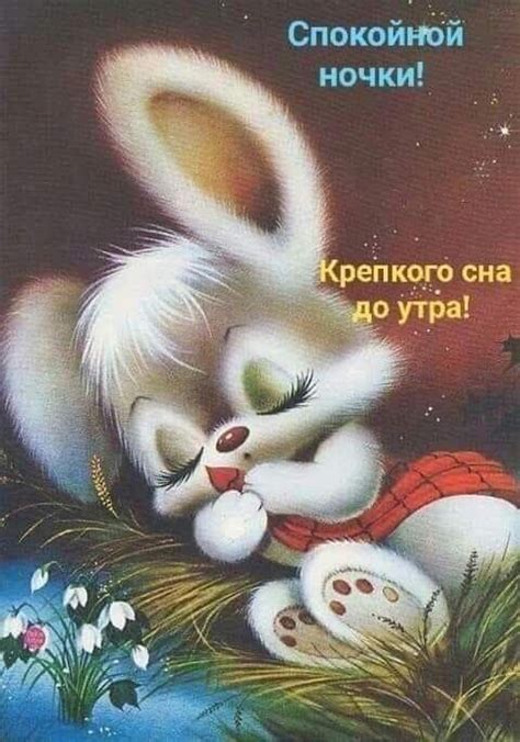 Pin by Света Плюта on Спокойной ночи | Good night, Night, Nighty night