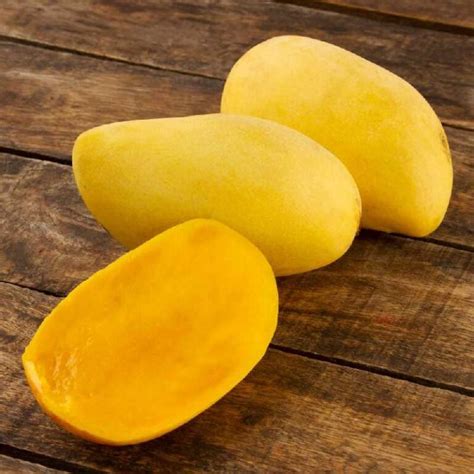 mango ataulfo su historia   curiosidades