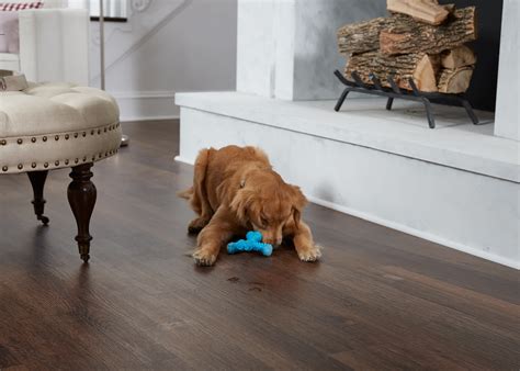 Best Luxury Vinyl Plank Flooring Brands For Dogs | Viewfloor.co
