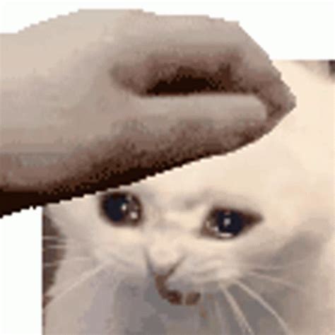 xd sticker xd discover share gifs