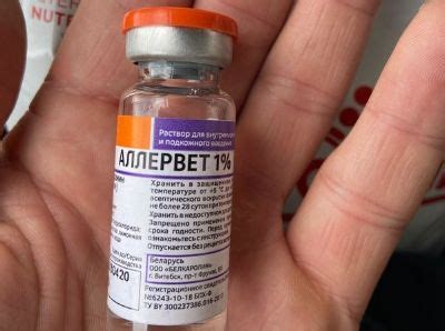 Аллервет для кошек: инструкция по применению