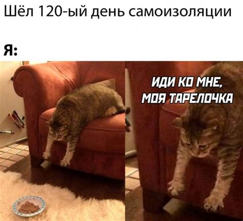Мемы и прикольные картинки из интернета