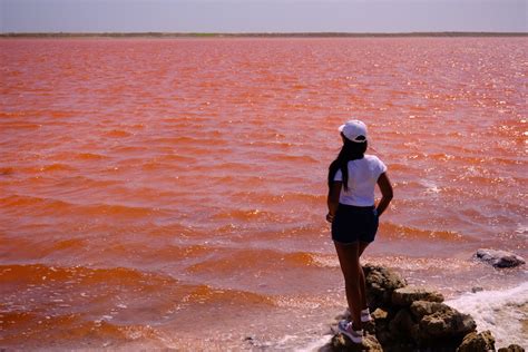 Pink Sea of Colombia - How to Visit the Pink Sea near Cartagena