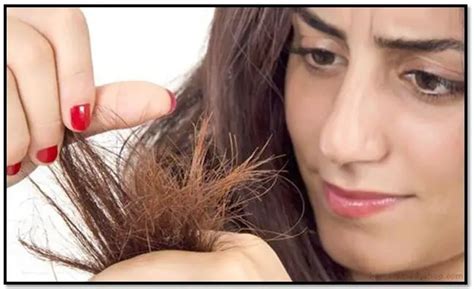 ¿Por Que Se Abren Las Puntas Del Cabello?