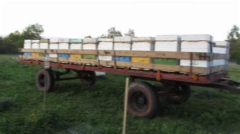 Перевозка пчел на озимый рапс Часть 1 Transportation of bees on winter ...