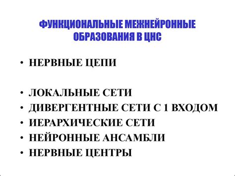 Возбуждение и торможение в ЦНС - презентация онлайн