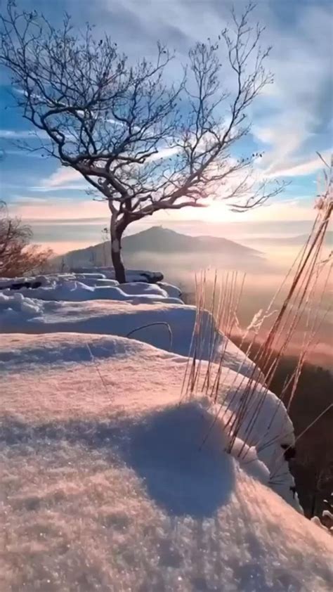 #зима #лес | Beautiful scenery nature, Winter scenes wonderland, Winter ...