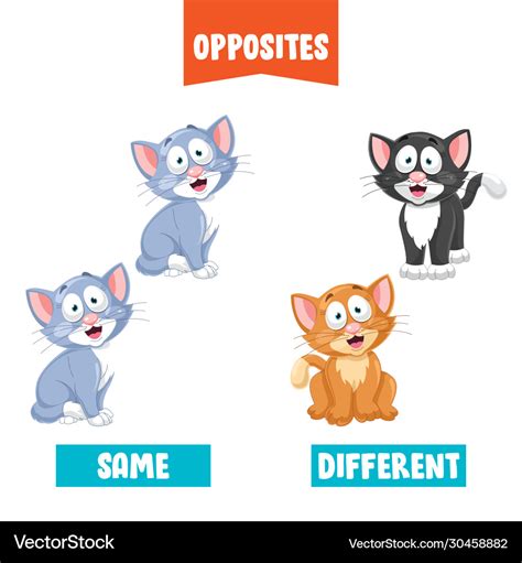 royalty  vector image vectorstock