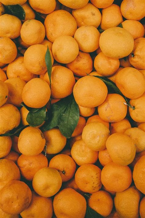 close   fresh orange fruits  stock photo