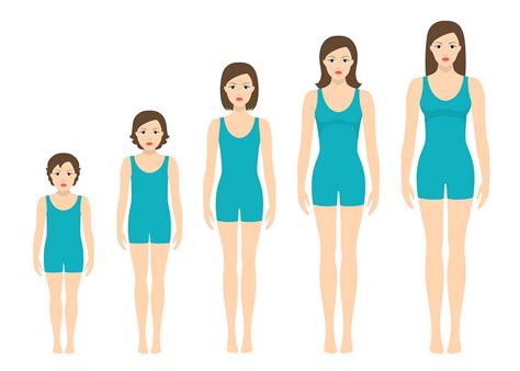Girl Body Development Stages at Hugo Bergin blog