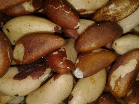 Фундук, миндаль, пекан, кешью, фисташки, макадамия. Орехи опт, розница ...
