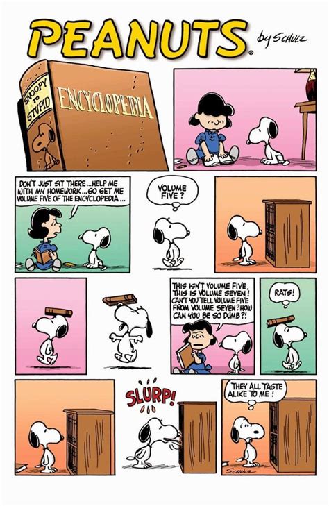 Pin by Danielle Vietti on snoopy and the peanuts | Charlie brown ...