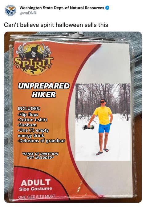 Fake Spirit Halloween Costumes Are Better Than Any Real Costume (21 Memes)