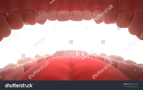 teeth  images stock  vectors shutterstock