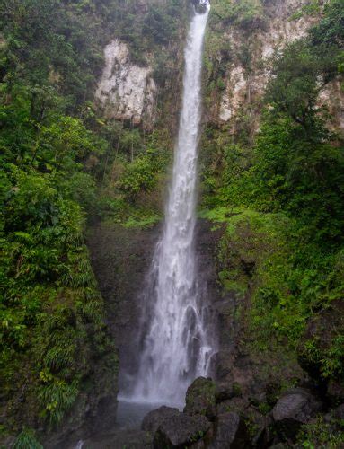 12 Stunning Waterfalls in Dominica – Explore With Lora