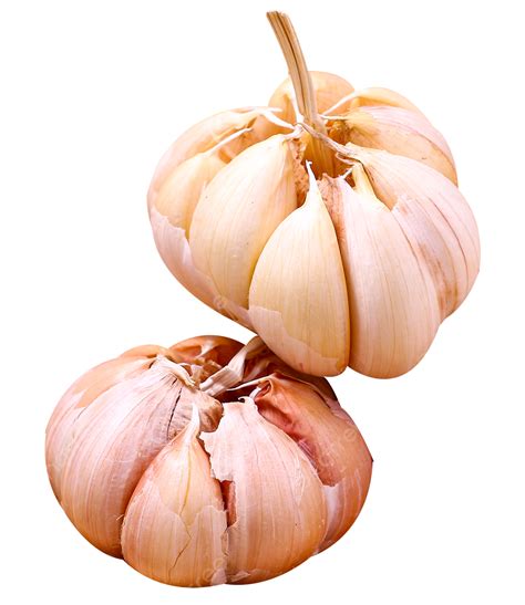 طعام الثوم الثوم, ثوم, رأس الثوم, مكونات PNG صورة للتحميل مجانا