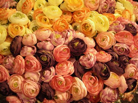 flower bowl inkster 11