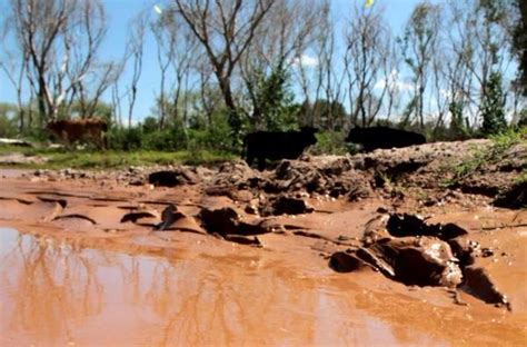 Toxic Spill at Grupo Mexico Mine Turns Rivers Orange | INN