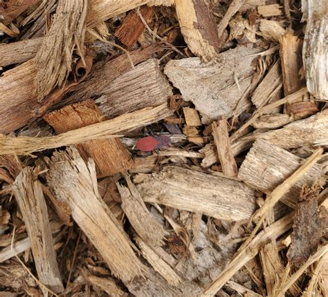 Parents react to head dented concerns after local playground accidents 10