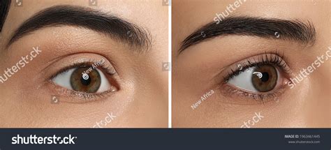 354 Lashes Results Images, Stock Photos & Vectors | Shutterstock