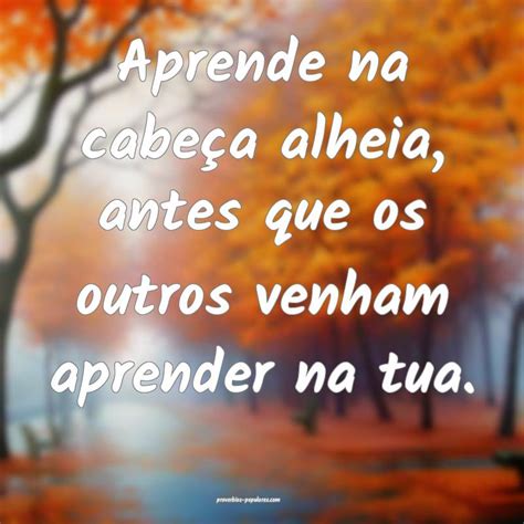 O Que Significa Alheia - Aprende na cabeça alheia — significado e uso