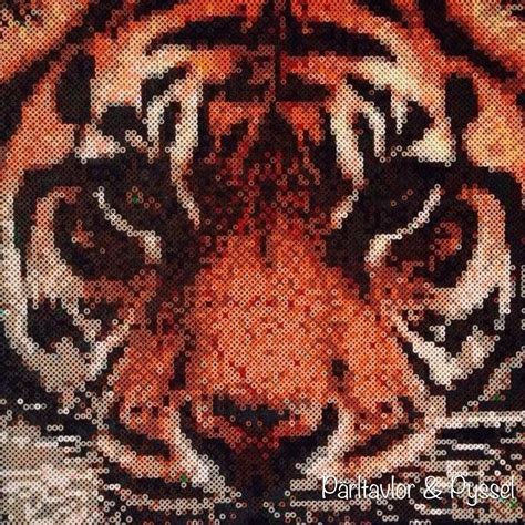 Tiger perler bead art/Photopearls by parltavlor_pyssel | Bügelperlen ...