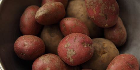 Potato Recipes - Great British Chefs