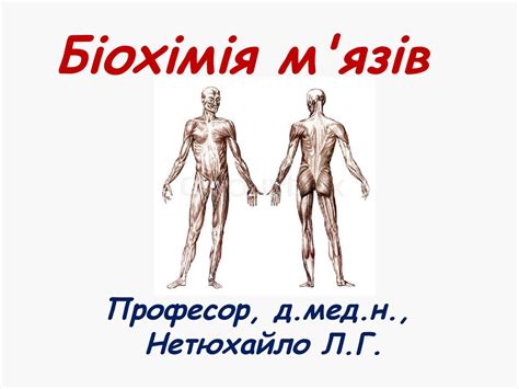 Біохімія м'язів - online presentation